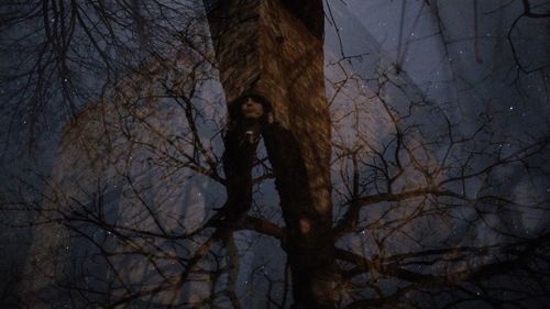 Low angle view of silhouette bare tree against sky at night