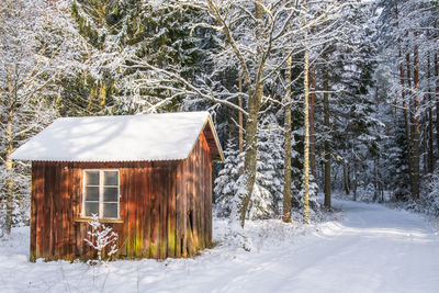 Snow covered trees on field in forest