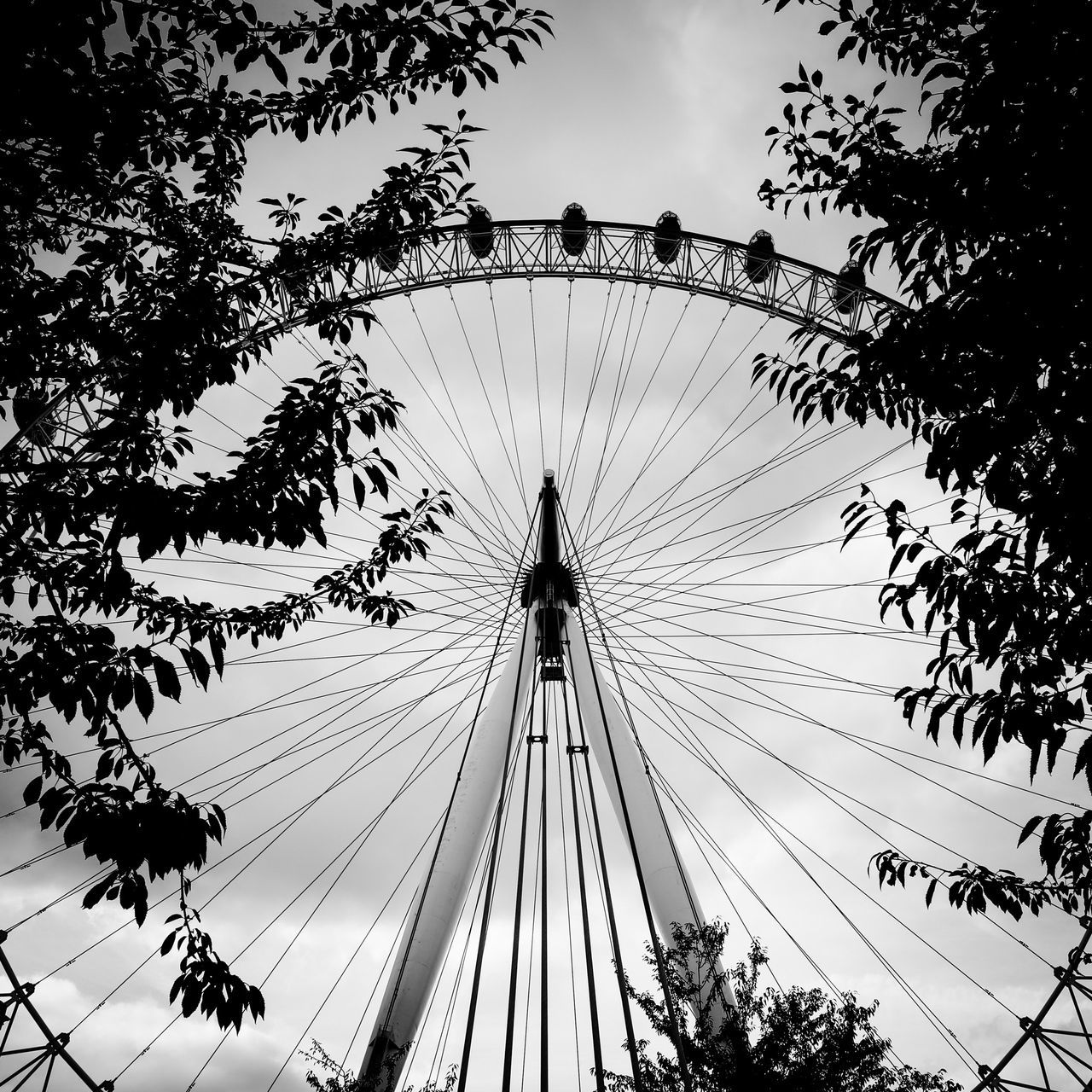 low angle view, amusement park, amusement park ride, ferris wheel, tree, sky, arts culture and entertainment, leisure activity, cloud - sky, day, outdoors, large, silhouette, nature, tall - high, fairground, fun, no people, enjoyment, cloud