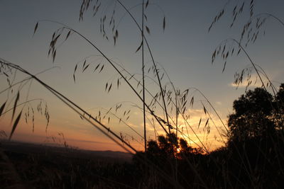 Scenic view of silhouette field against sky at sunset