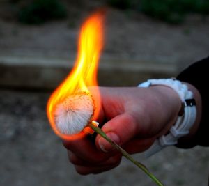 Cropped hand burning flower with lighter