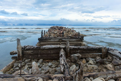 Driftwood on beach