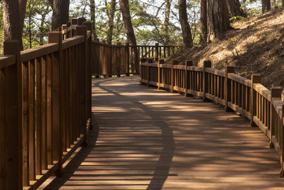 Empty footbridge in forest