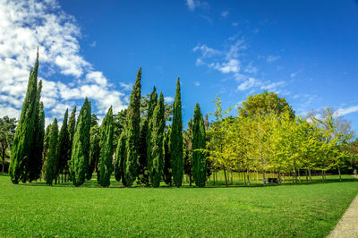 Panoramic shot of trees on field against sky