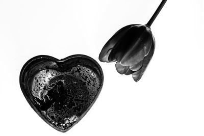 Directly above shot of ice cream against white background