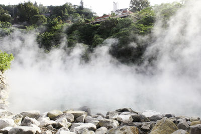 Scenic view of waterfall