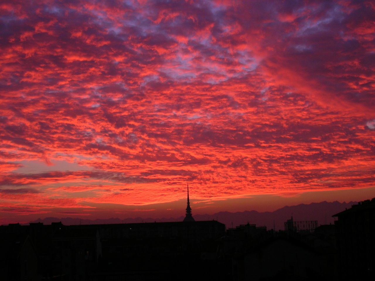 𝐕𝐢𝐜𝐢𝐮𝐏𝐚𝐜𝐜𝐢𝐮