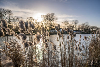 Scenic view of lake against sky