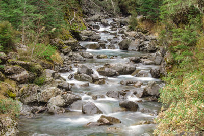 Stream flowing through rocks in forest