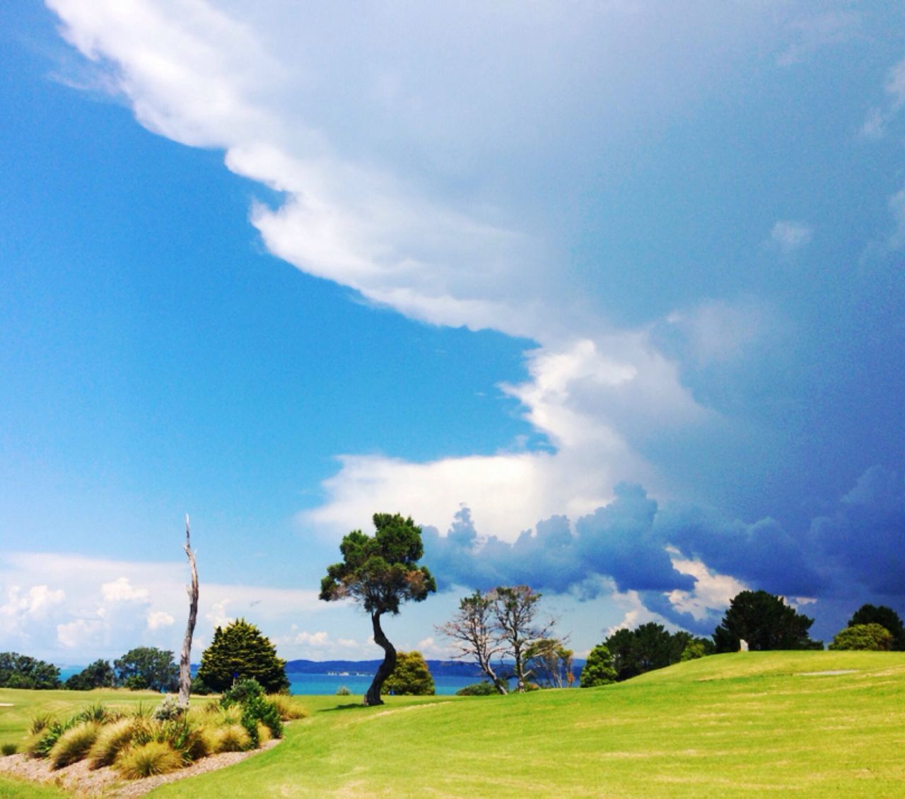 Thunderstorm