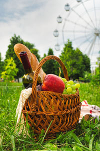 Close-up of apples in basket on field
