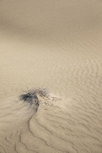 High angle view of wet sand on beach