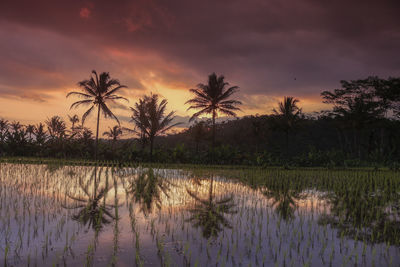 Scenic view of lake against sky during sunset