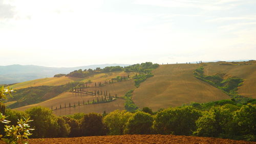 Countryside landscape against the sky