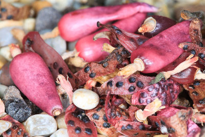 Close-up of vegetables