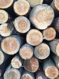 Full frame shot of logs in forest