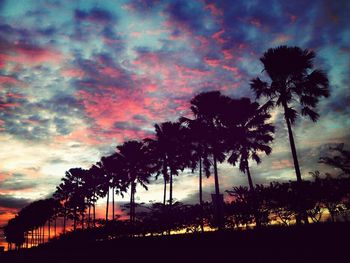 Silhouette of palm trees against cloudy sky