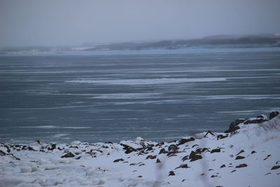 Scenic view of sea against sky during winter