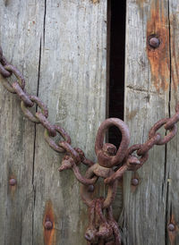 Close-up of wood