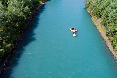 High angle view of person on river amidst plants