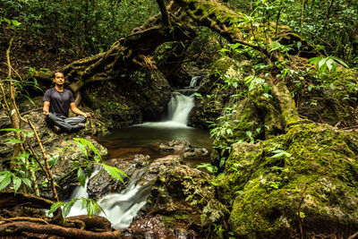 Scenic view of waterfall in forest