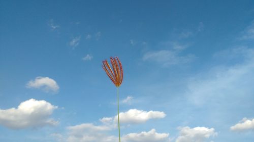 Low angle view of sky