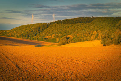 Scenic view of trees on field against sky