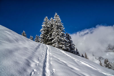 Ski trails