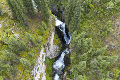 Scenic view of waterfall in forest