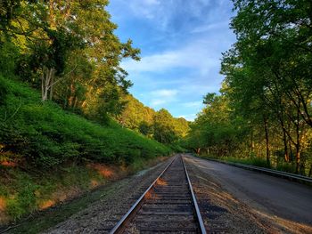 View of railroad track amidst trees against sky