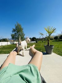 Midsection of woman with dog relaxing against sky