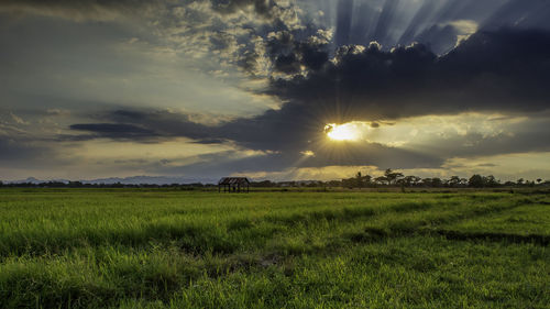 Scenic view of field against sky during sunset