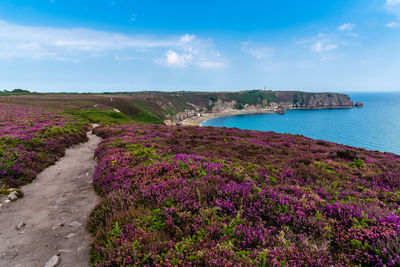 Panoramic view over cap frehel and fort la latte, brittany, france. atlantic ocean french coast