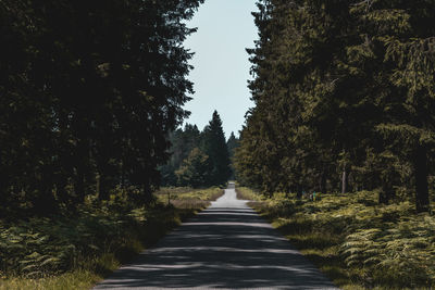 Empty road amidst trees in forest against sky