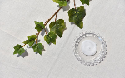 High angle view of leaves on table