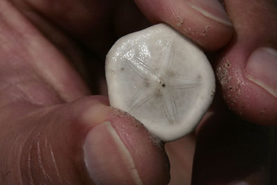 Close-up of woman hand