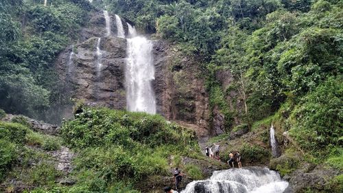 Scenic view of waterfall in forest