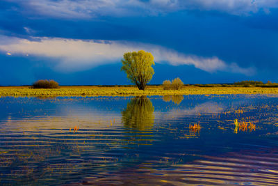 Scenic view of lake against sky