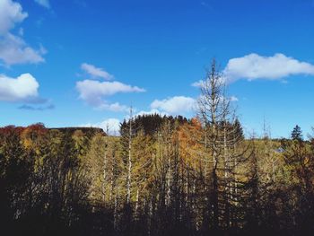 Beauty in ireland