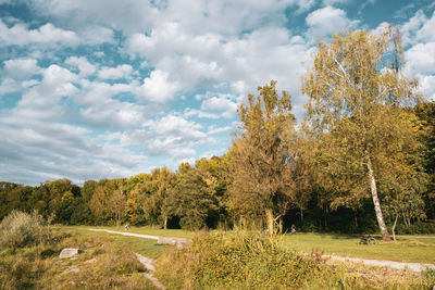 Scenic view of trees against sky during autumn