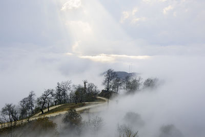 Scenic view of landscape against sky