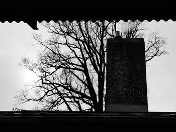 Low angle view of bare trees against the sky