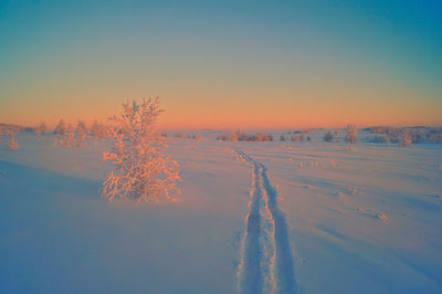 Scenic view of snow covered land during sunset