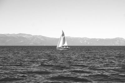 Sailboat sailing in sea