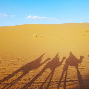 Shadow of people on sand dune in desert against sky