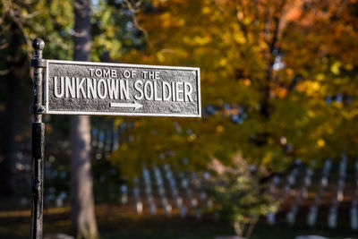 Close-up of information sign against trees in park