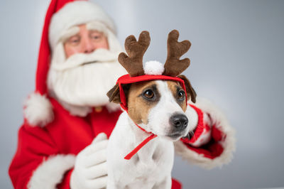 Portrait of santa claus and dog jack russell terrier in rudolf reindeer ears on a white background