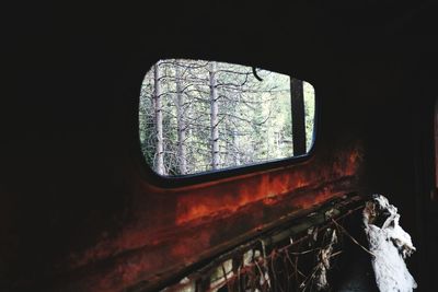 View of abandoned car window