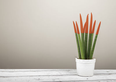 Close-up of potted plant on table against wall