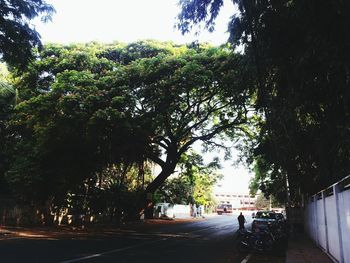 Person riding bicycle on road